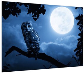 Egy éjszakai bagoly képe (70x50 cm)