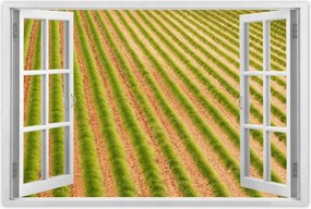 Poszterek 90x60 Zöld Provence