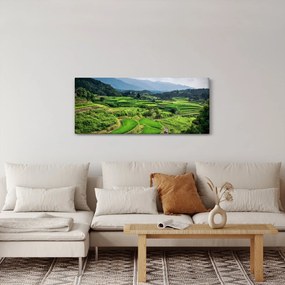 Rizsmező képe (120x50 cm)