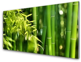 Akril üveg kép Bambusz levelek Plant 100x50 cm