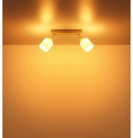 Globo 54114-2 - TRENT irányítható spotlámpa 2xE14/25W/230V