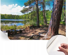 Fotótapéta Öntapadós Dekoratív tapéta Erdei táj 416x254 cm