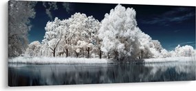 Kép - Hófehér fák (120x50 cm)