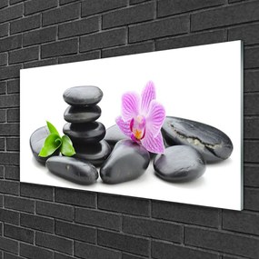 Akril üveg kép Virág Zen kövek 120x60 cm