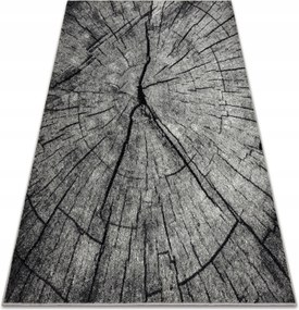 Szőnyeg Ezüst 160x220 Tronko Befőttesüveg Fa Keresztmetszet #SIL031