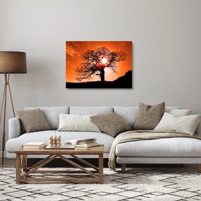 Kép - Tölgy napnyugtakor (üvegen) (70x50 cm)