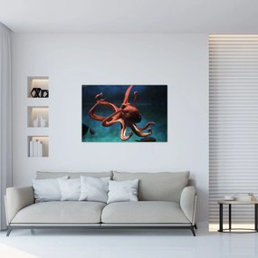 Kép - Octopus (90x60 cm)