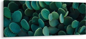 Kép - Opuntia (120x50 cm)