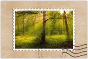 Poszterek 60x40 Varázslatos erdő Tájkép