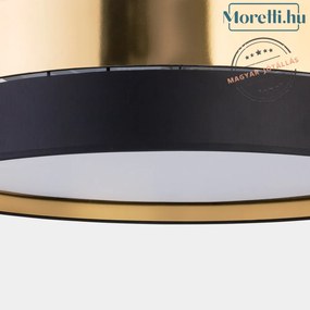 Mennyezeti Lámpa Arany HILTON TK LIGHTING 4345