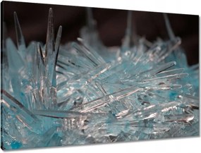 Vászonkép 90x60 Makrofotó MacroFoto