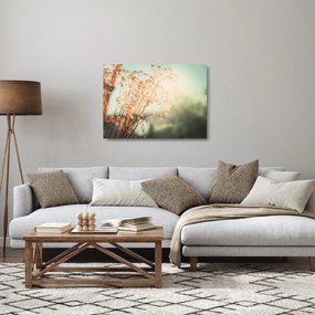 Üveg kép - Növények eső után (70x50 cm)