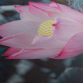 Rózsaszín virág képe (90x60 cm)