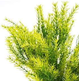Művirág csokor Asparagus, 53 cm