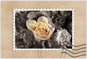 Poszter 60x40 Tearózsa