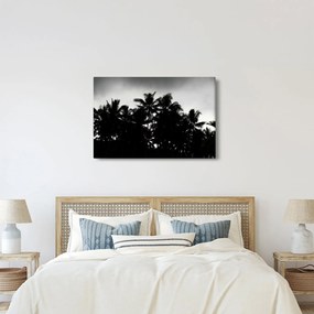 A fekete-fehér pálmafák képe (90x60 cm)