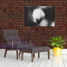Kép - Fekete-fehér pamutfű (90x60 cm)