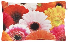 Dekoratív párnahuzat SAMARA GERBERA 30x50 cm, színes