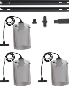Modern railsysteem zwart met 3 hanglampen van smoke glas 1-fase - Iconic Dome