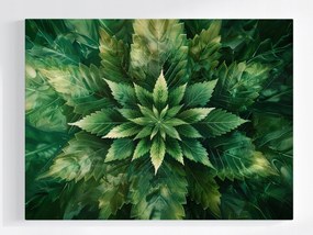 Vászonkép Canvas Mandala Kender Levél Zöld Természet BOTANIKA100x75