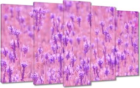 Vászonkép 100x60 Levendula tenger