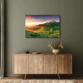Kép - Nyári táj (90x60 cm)