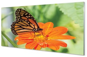 Üvegképek Virág színes pillangó 100x50 cm