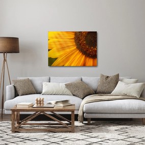 Kép - Napraforgók (70x50 cm)