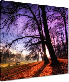 Vászonkép 90x90 Bajusz park