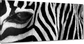 Vászonkép 180x90 Fekete-fehér csíkos Zebra