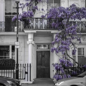 Poszter 50x50cm Ház a Portobello úton 2, Assaf Frank