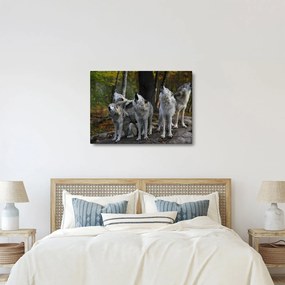 Kép - Farkasok a sziklán (70x50 cm)