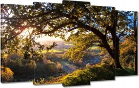 Festmények 100x60 Kilátás a völgyre