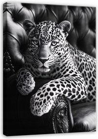 Jaguar Vászonkép Állat A Hálószobába Konyha Nappali Vászonkép 40x30