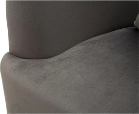 Szürke bársony fotel Silvery – Mauro Ferretti