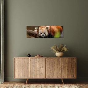 Vörös panda képe (órával) (90x30 cm)