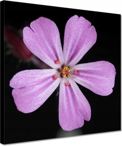 Vászonkép 30x30 Nőnap Ajándék Love