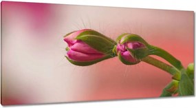 Vászonkép 115x55 Finom fánkok Virágok