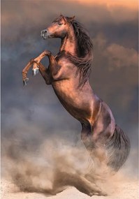Lovas Wild Stallion 500 db-os Compact puzzle Clementoni
