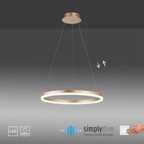 Paul Neuhaus 2382-60 - LED Dimmelhető csillár zsinóron TITUS LED/38,5W/230V