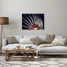 Kép - Világító kisülés (üvegen) (70x50 cm)