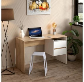 PC asztal Titanes (artisan tölgy + fehér) . 1116531
