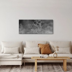 Kép - Vidéki rét (120x50 cm)