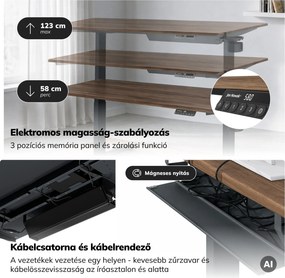 Elektromos íróasztal magasságállítással ergonomikus antracit/dió,1600x800 mm: ARIA
