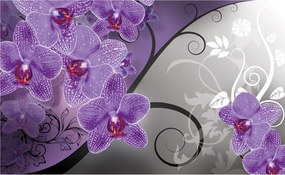 Fotótapéta Orchideák modern elegancia belső harmónia 250x175 +ragasztó