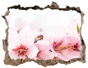 3d-s lyuk vizuális effektusok matrica Cseresznye virágok nd-k-79943111