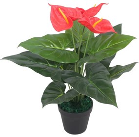 műflamingóvirág virágcseréppel 45 cm piros és sárga