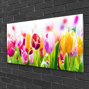 Akrilkép tulipán virágok 125x50 cm
