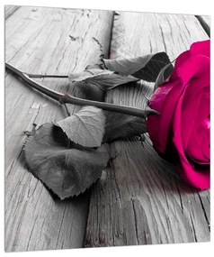 Rózsaszín rózsa képe (30x30 cm)