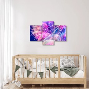 Kép - Makró (90x60 cm)